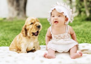 infant, dog, animal